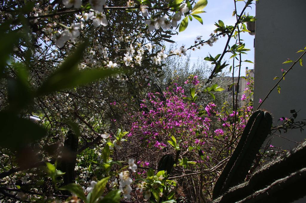 La Piccola Locanda Modica Bagian luar foto